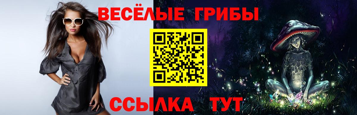 Псилоцибиновые грибы Psilocybine cubensis Ейск